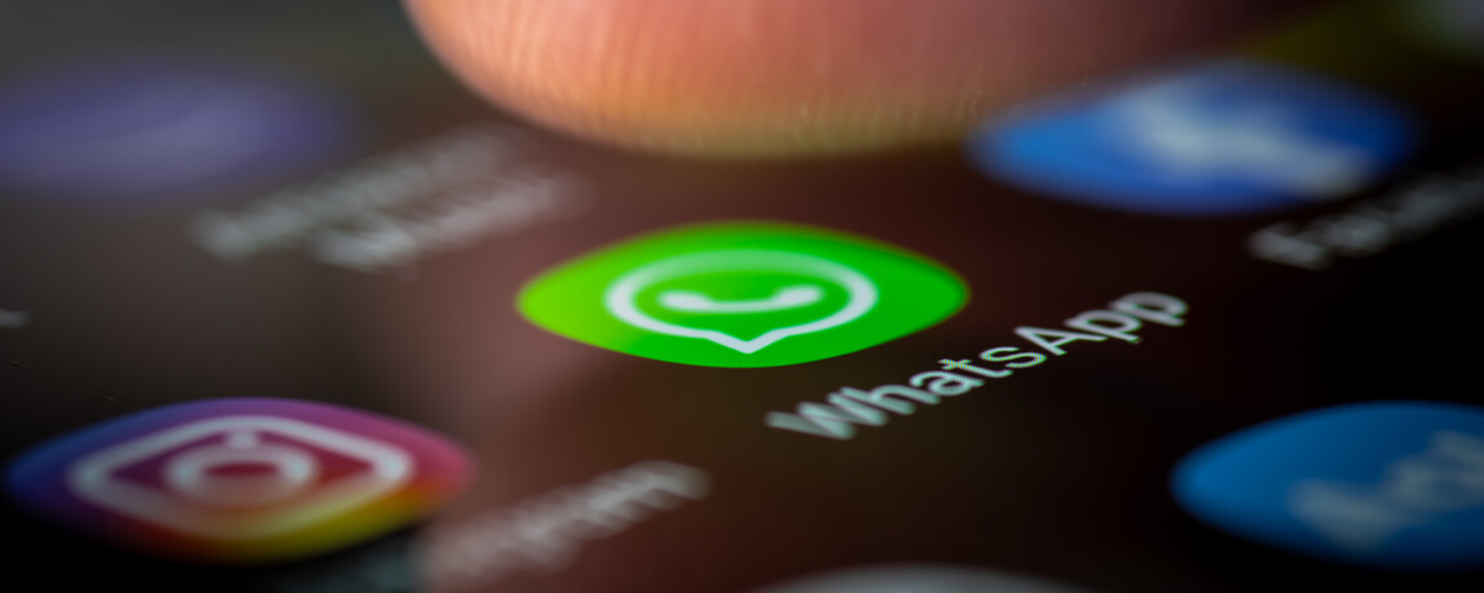 WhatsApp: la VERIFICA del nome utente vi farà evitare scelte sbagliate WhatsApp: la VERIFICA del nome utente vi farà evitare scelte sbagliate