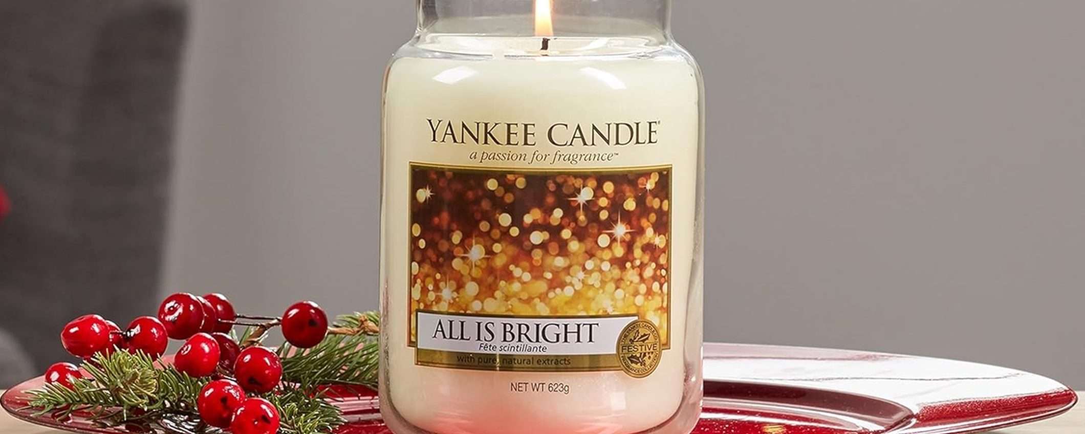 Candela Yankee Candle in giara grande: fino a 150 ore di pura rilassatezza adesso ad un prezzo speciale! Candela Yankee Candle in giara grande: fino a 150 ore di pura rilassatezza adesso ad un prezzo speciale!
