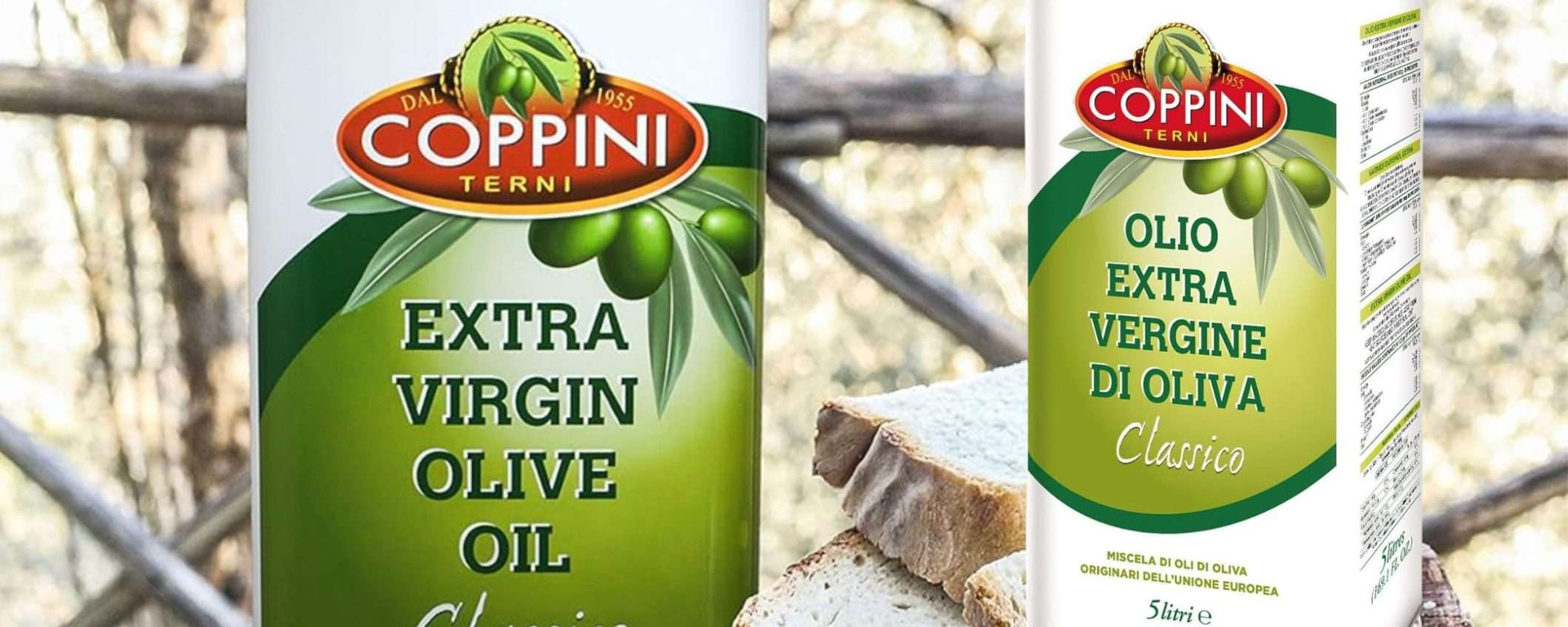 Olio Extra Vergine d'Oliva ALTA QUALITÀ: 5 litri a 54€ (solo Amazon) Olio Extra Vergine d'Oliva ALTA QUALITÀ: 5 litri a 54€ (solo Amazon)