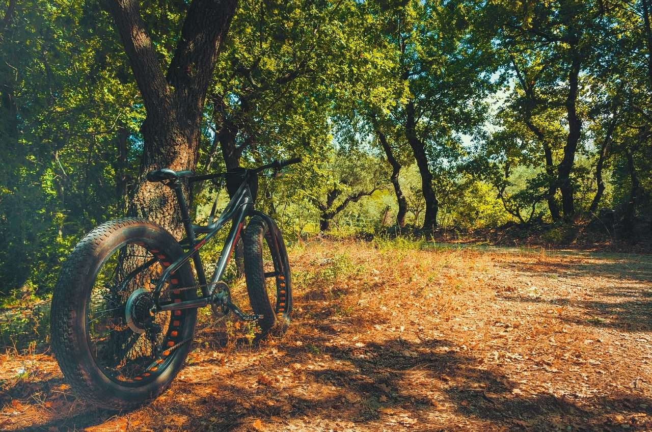 Migliore fat bike elettrica 2025: recensioni, prezzi e offerte