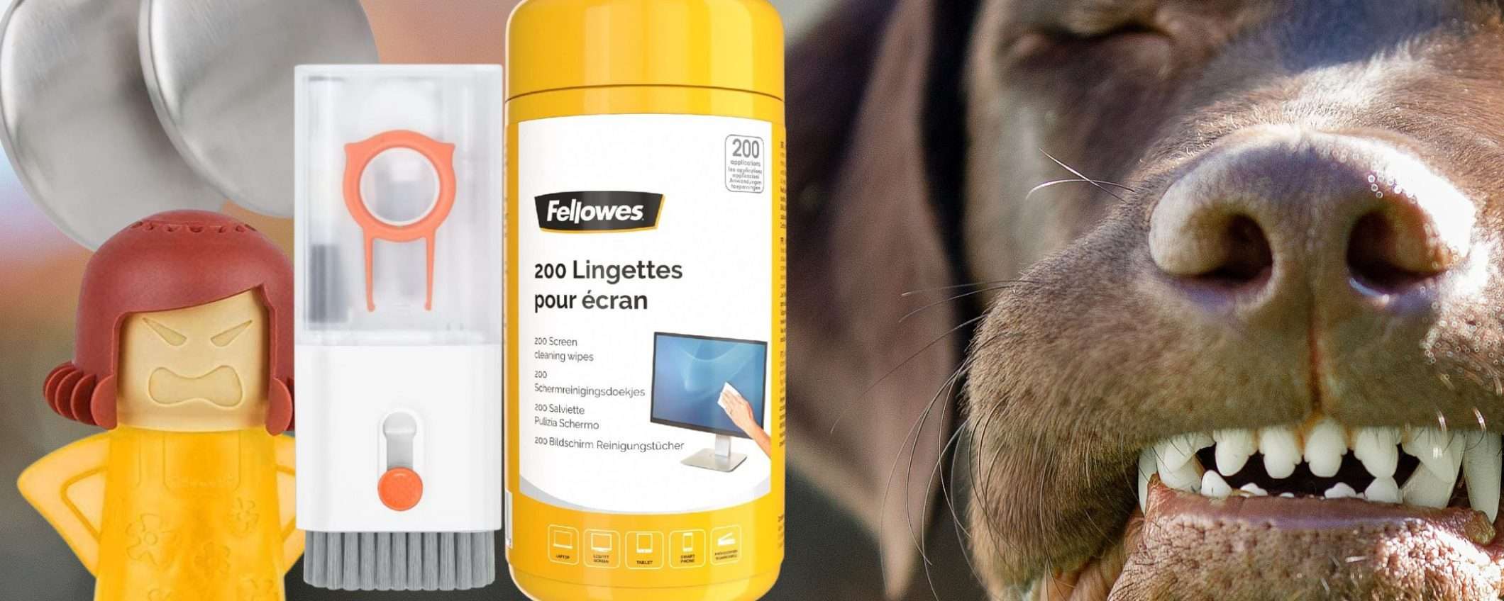 Amazon cose WOW: 11 gadget da 4€ a 10€ che ti SEMPLIFICANO la vita