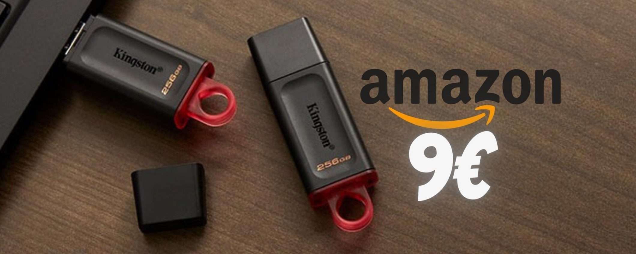 Ti bastano 9€ per avere la velocissima chiavetta USB Kingston da 128GB Ti bastano 9€ per avere la velocissima chiavetta USB Kingston da 128GB