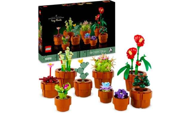 Set LEGO Icons Piantine Collezione Botanica