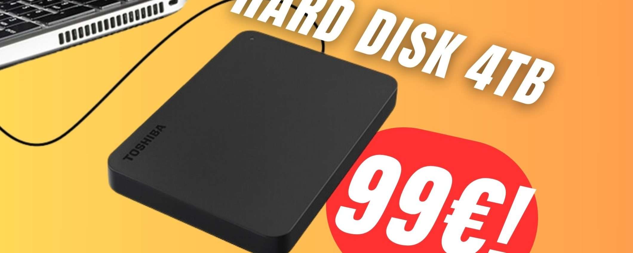 L'Hard Disk Esterno da 4TB di Toshiba a soli 99€ è REGALATO! L'Hard Disk Esterno da 4TB di Toshiba a soli 99€ è REGALATO!