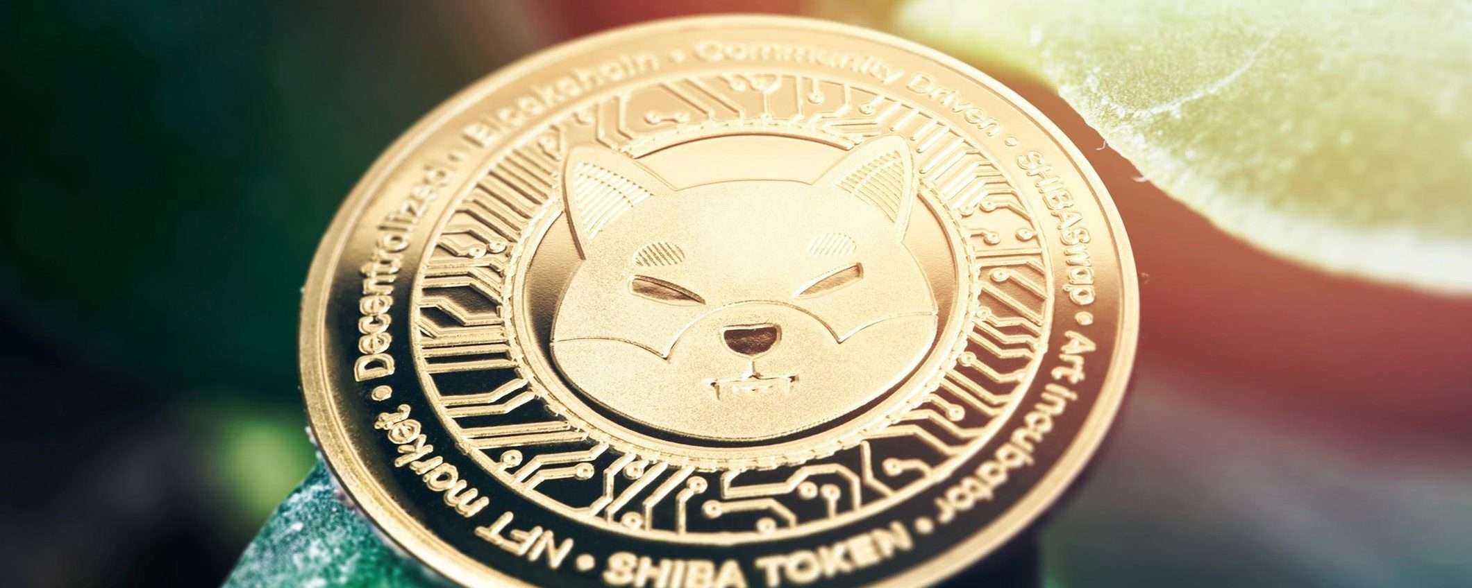 Shiba Inu supera il 3000%, Litecoin e InQubeta attirano grandi investimenti Shiba Inu supera il 3000%, Litecoin e InQubeta attirano grandi investimenti