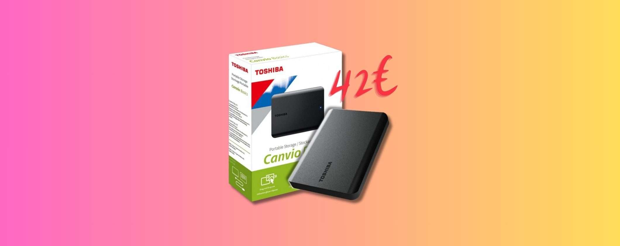 Hard Disk Esterno Toshiba Canvio Basics 1TB a soli 42€ su eBay Hard Disk Esterno Toshiba Canvio Basics 1TB a soli 42€ su eBay