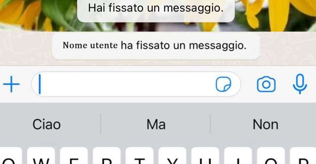 Come eliminare un messaggio fissato