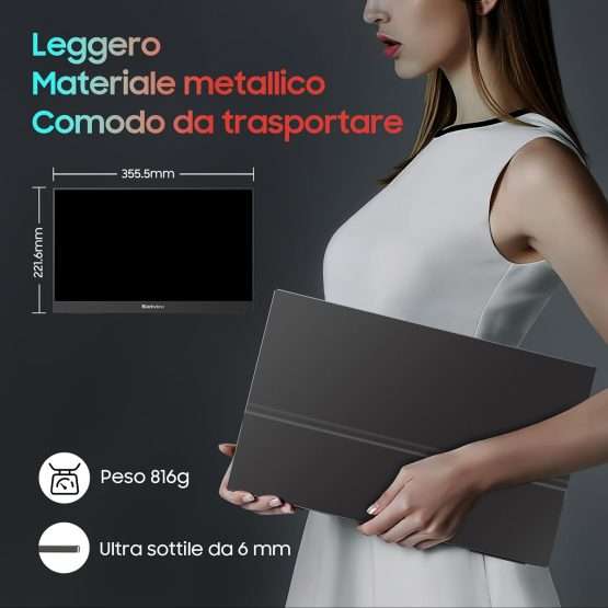 monitor portatile