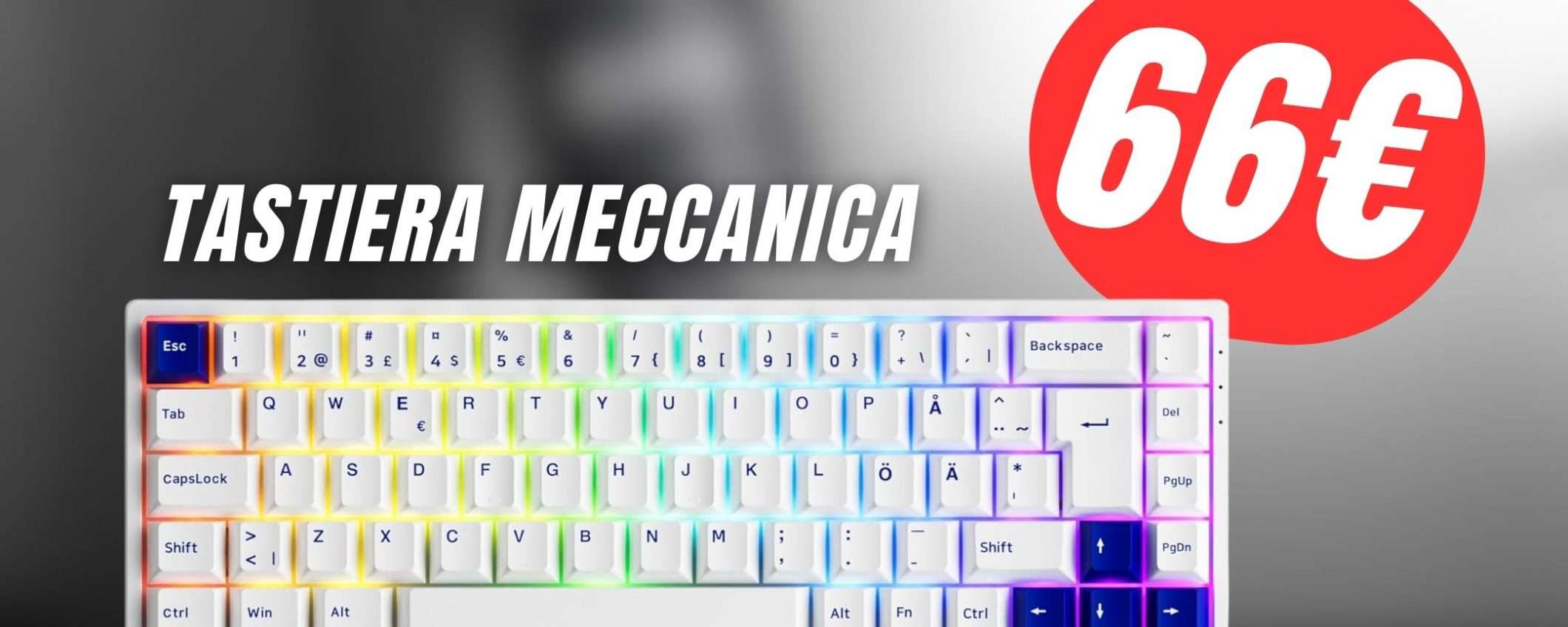 L'iconica Tastiera Meccanica Akko è ora SCONTATA grazie al COUPON L'iconica Tastiera Meccanica Akko è ora SCONTATA grazie al COUPON