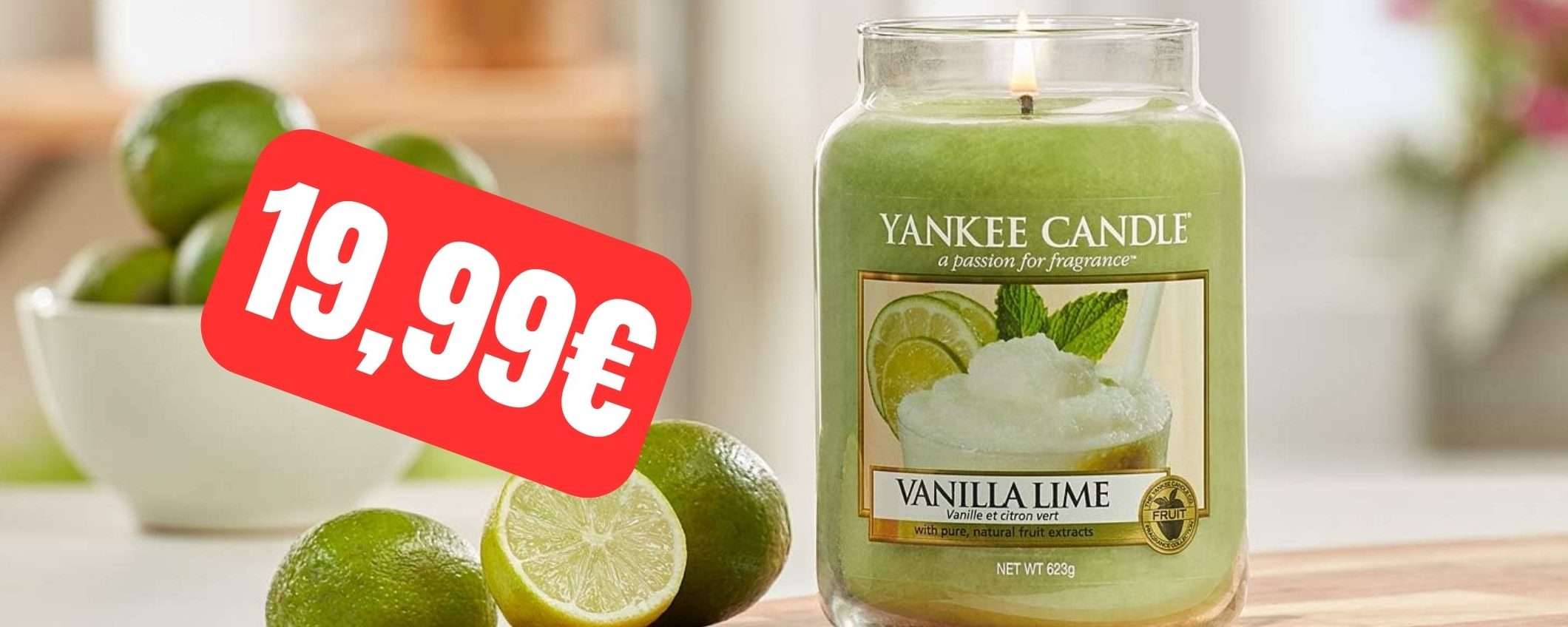 Candela profumata Yankee Candle: giara media a 19,99€ (-26%) Candela profumata Yankee Candle: giara media a 19,99€ (-26%)