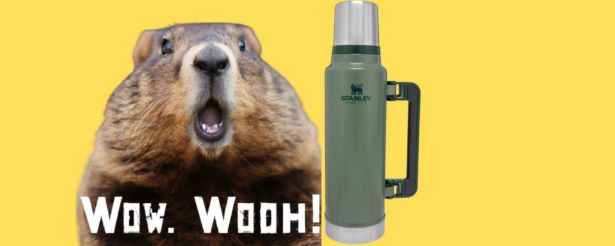 Bevande Perfette per 40 Ore con la Stanley Thermos 1.4L: affare su Amazon