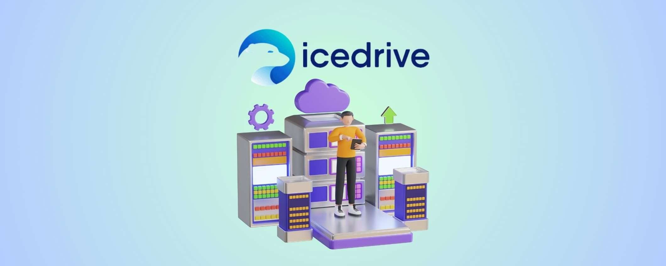 Cloud al miglior prezzo consligiato da Klarna: scopri IceDrive
