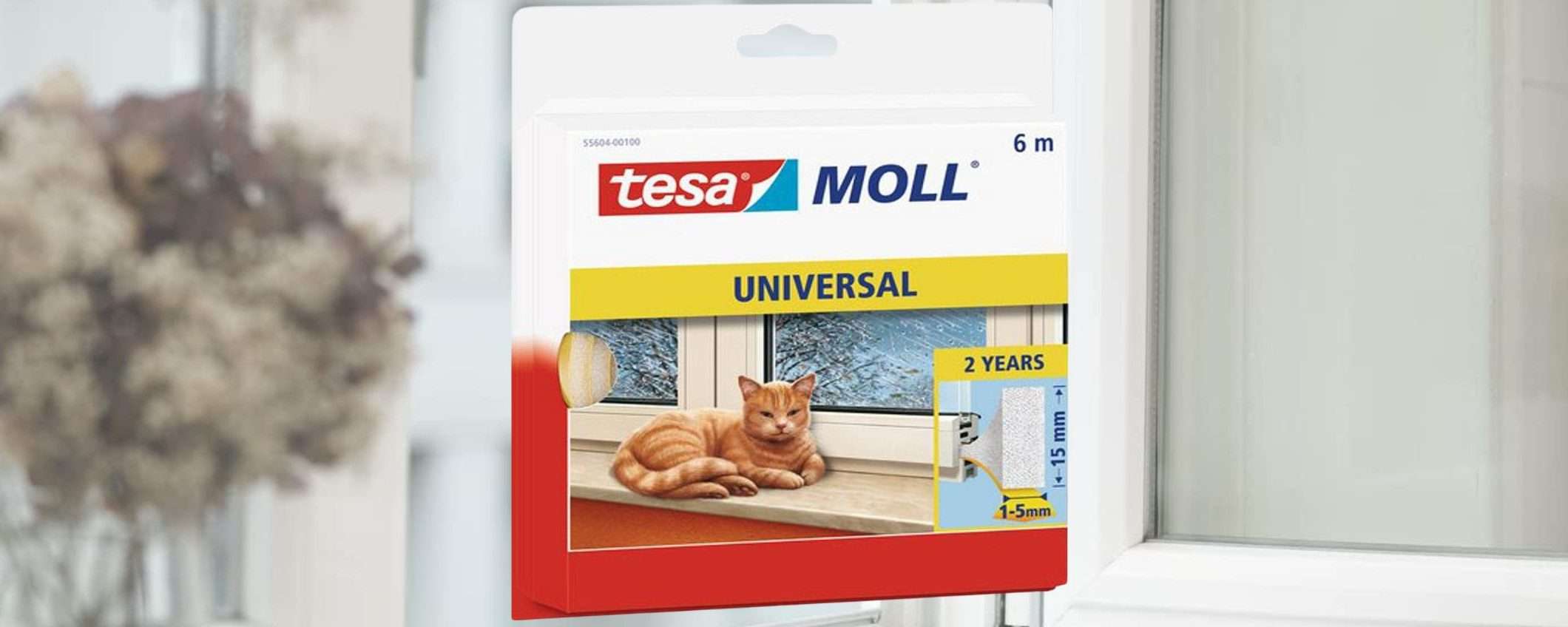 Finestre isolate e casa più CALDA con 10€: soluzione GENIALE fai da te Finestre isolate e casa più CALDA con 10€: soluzione GENIALE fai da te