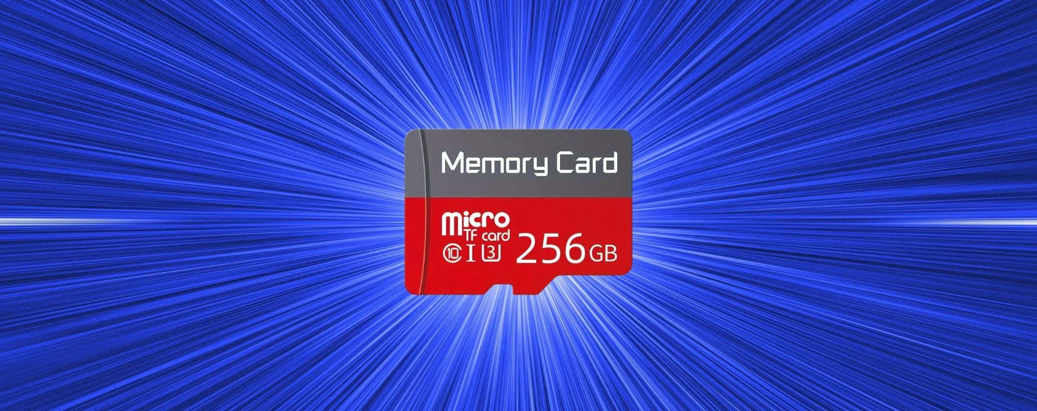 MicroSD 256GB a soli 15€ su TEMU: acquistala subito MicroSD 256GB a soli 15€ su TEMU: acquistala subito