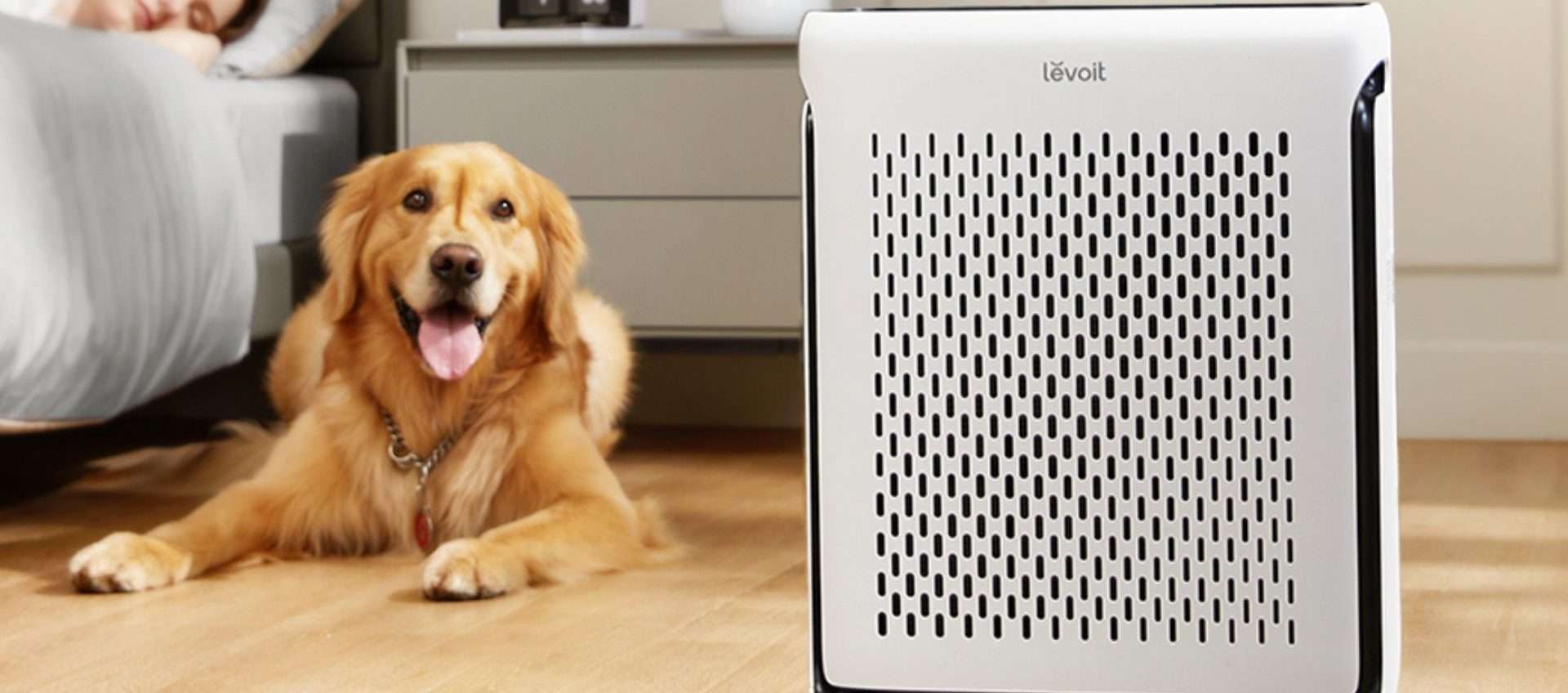 Purificatore d'aria intelligente? Questo è in offerta ad un prezzo iper-conveniente Purificatore d'aria intelligente? Questo è in offerta ad un prezzo iper-conveniente