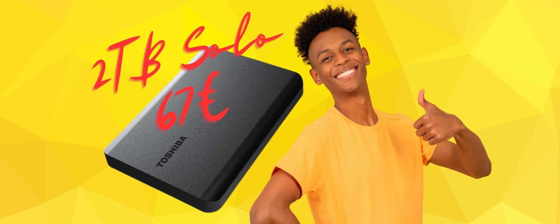 Hard Disk Toshiba CANVIO Basics da 2TB a 67€: OFFERTA da SOGNO Hard Disk Toshiba CANVIO Basics da 2TB a 67€: OFFERTA da SOGNO