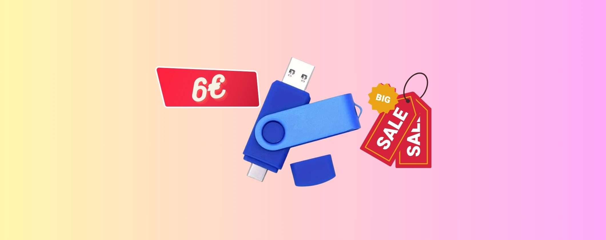 Pen Drive 2 in 1 a soli 6€ su TEMU Pen Drive 2 in 1 a soli 6€ su TEMU