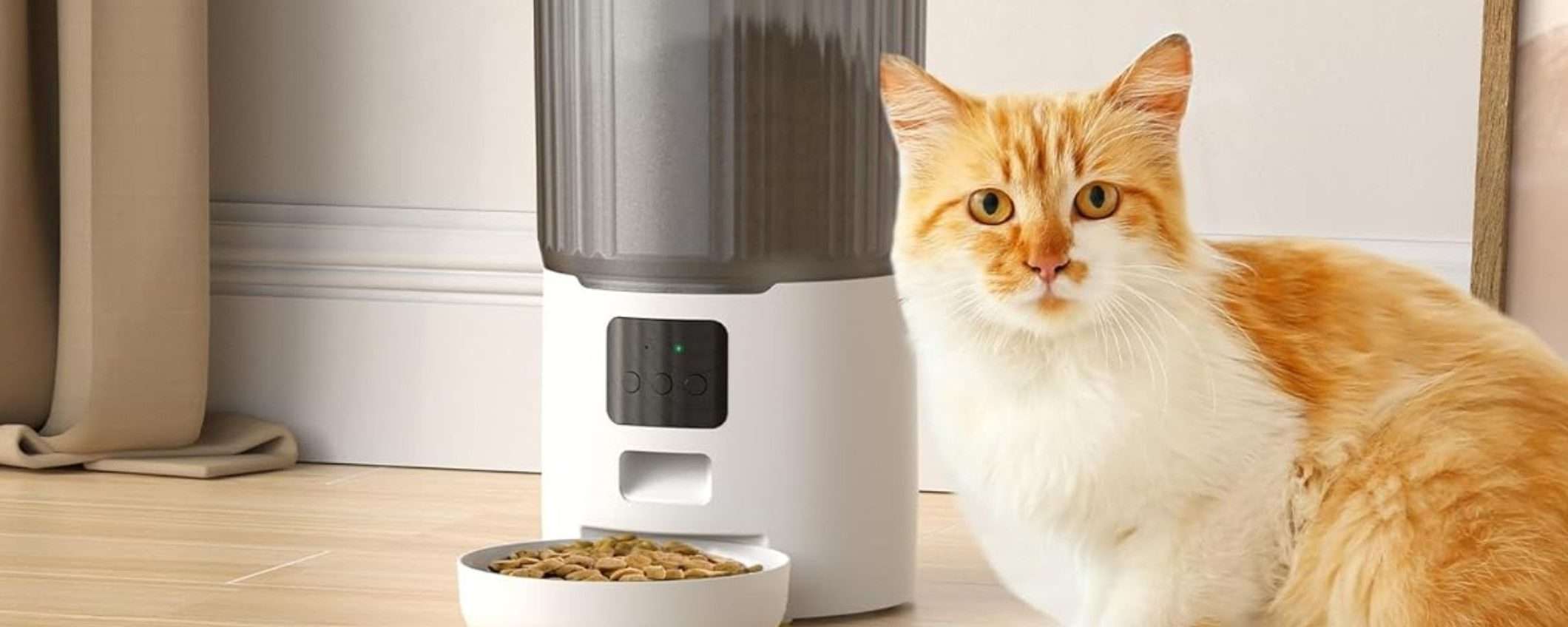 Distributore automatico di crocchette per cani e gatti con WiFi in OFFERTA Amazon (-38%) Distributore automatico di crocchette per cani e gatti con WiFi in OFFERTA Amazon (-38%)