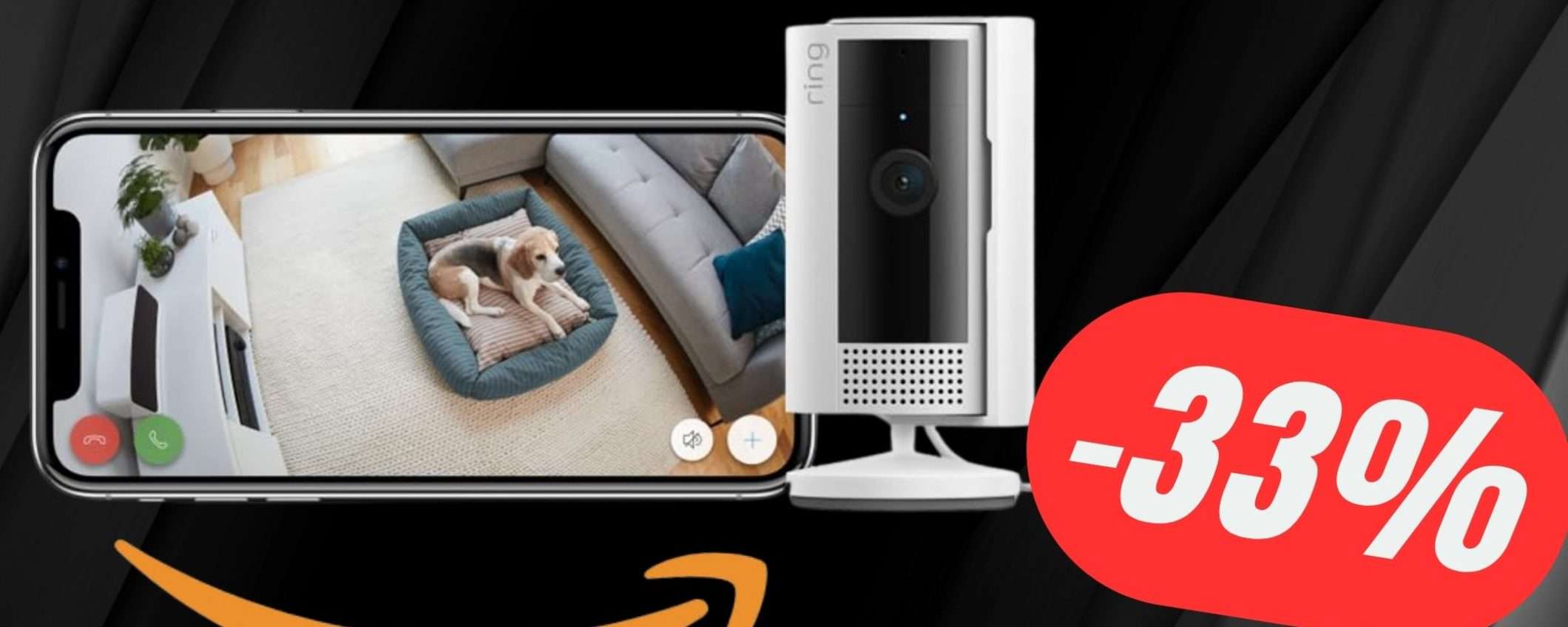 Tieni sotto controllo il tuo Cane con questa Telecamera Amazon!