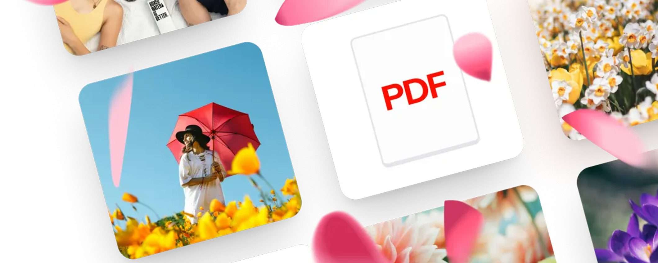 Sconti di primavera per il cloud Internxt: risparmia fino al 75% Sconti di primavera per il cloud Internxt: risparmia fino al 75%