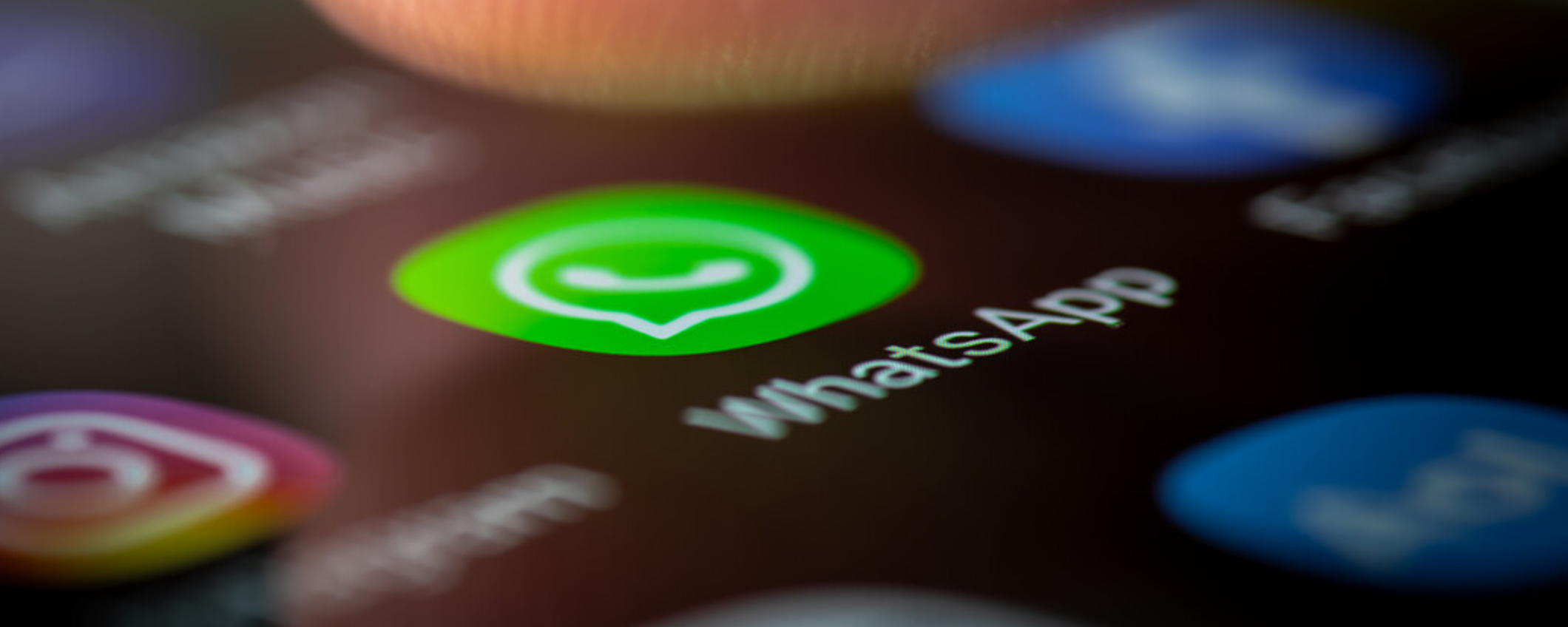 WhatsApp: la novità per far sapere a tutti che hai un account su Instagram WhatsApp: la novità per far sapere a tutti che hai un account su Instagram
