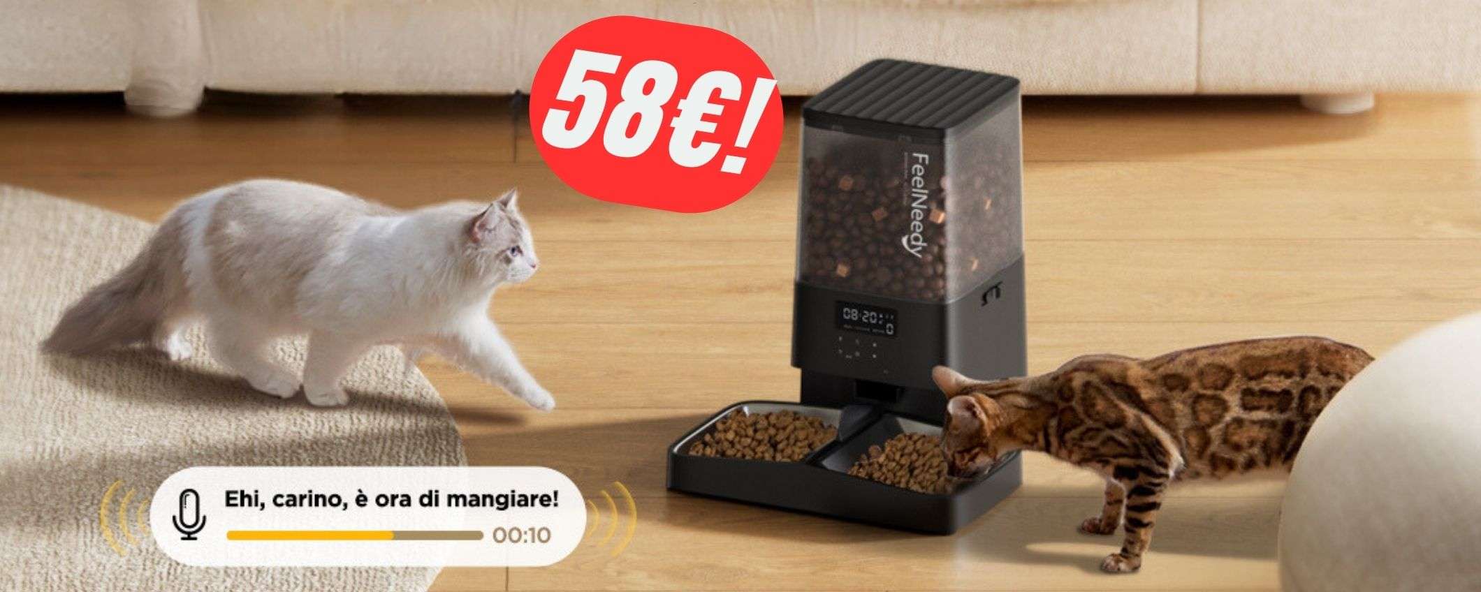 Il distributore AUTOMATICO che dà il cibo ai tuoi ANIMALI è in SCONTO (-20%) Il distributore AUTOMATICO che dà il cibo ai tuoi ANIMALI è in SCONTO (-20%)