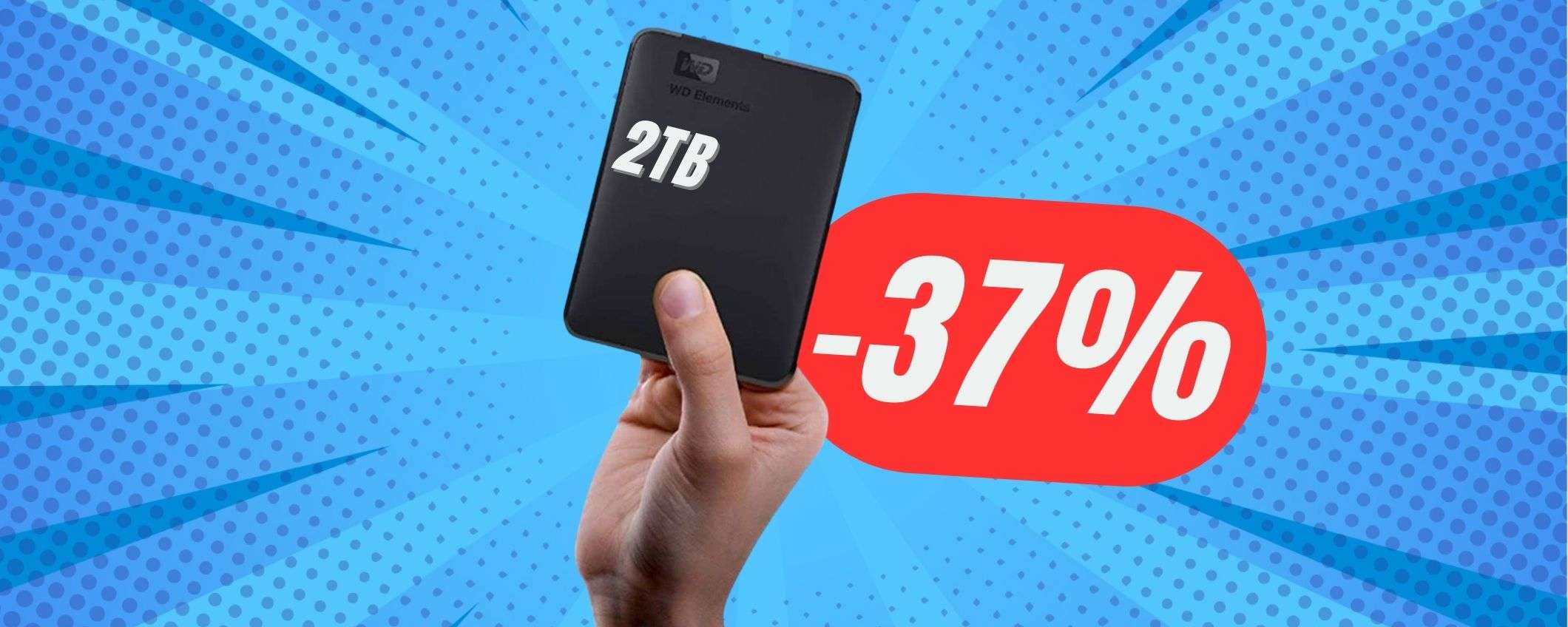 Spazio di archiviazione infinito con l'HARD DISK esterno da 2TB (a 75€!!) Spazio di archiviazione infinito con l'HARD DISK esterno da 2TB (a 75€!!)