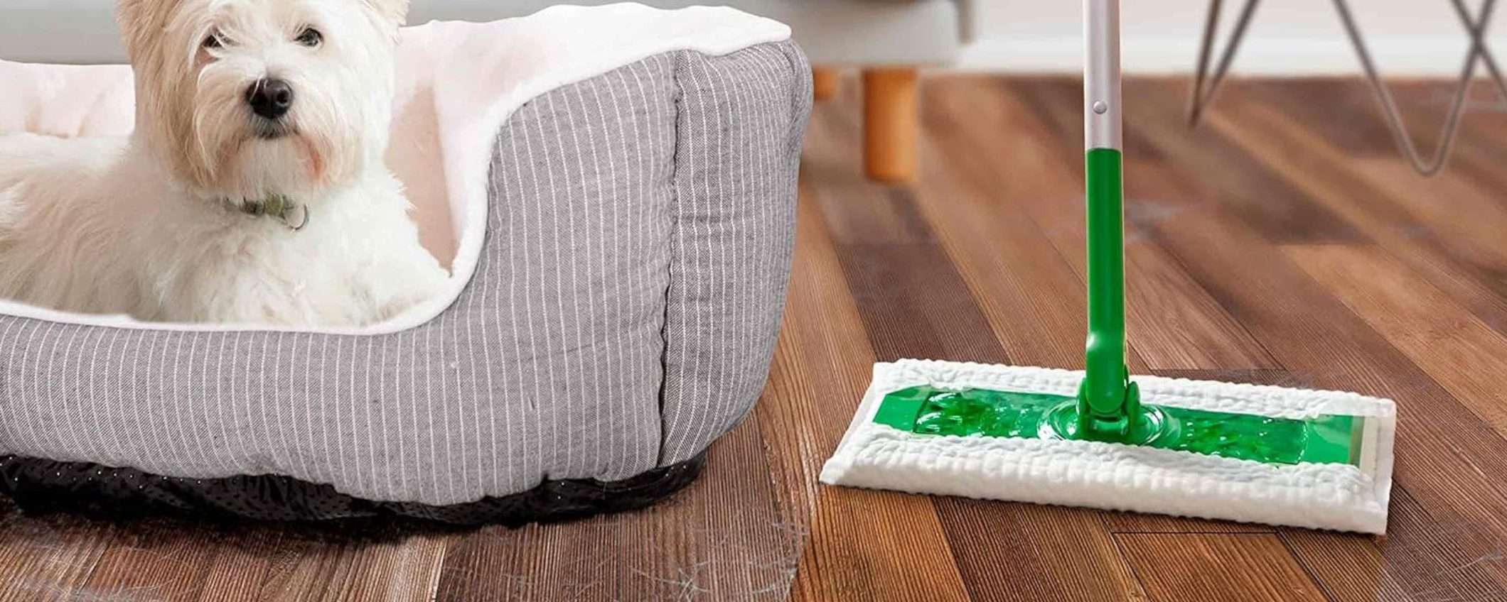 Panni catturapolvere Swiffer: OFFERTA SCORTA con il 30% di sconto Panni catturapolvere Swiffer: OFFERTA SCORTA con il 30% di sconto
