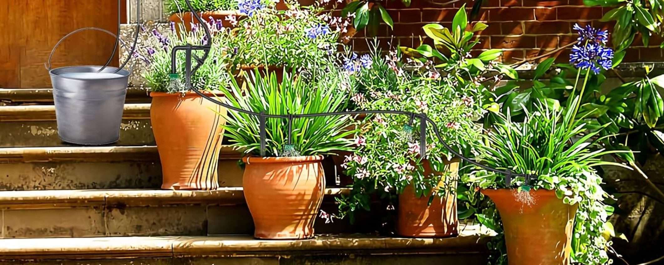 Questo GENIALE sistema di irrigazione automatico lo paghi al 40% in MENO su Amazon Questo GENIALE sistema di irrigazione automatico lo paghi al 40% in MENO su Amazon