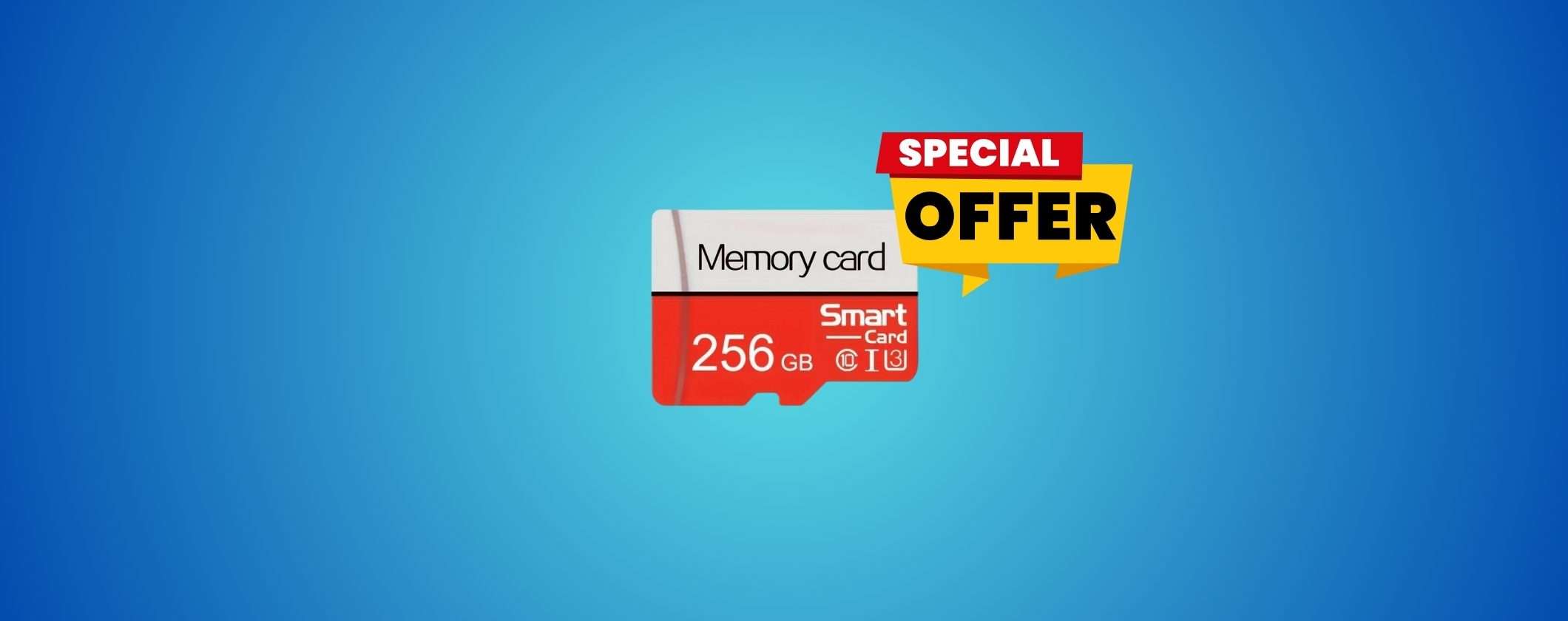 MicroSD a partire da 5€ su TEMU: un VERO AFFARE