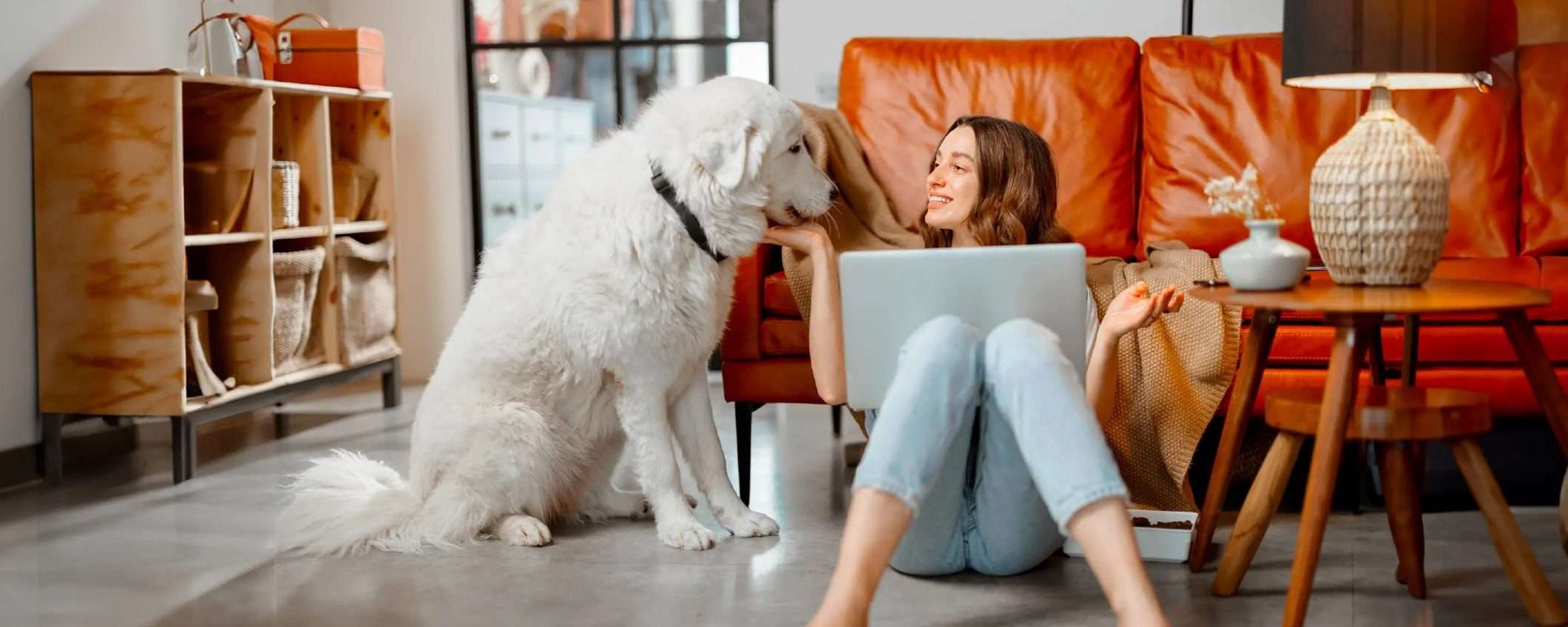Vodafone Fibra: velocità pazzesca a soli 24,90€ al mese Vodafone Fibra: velocità pazzesca a soli 24,90€ al mese