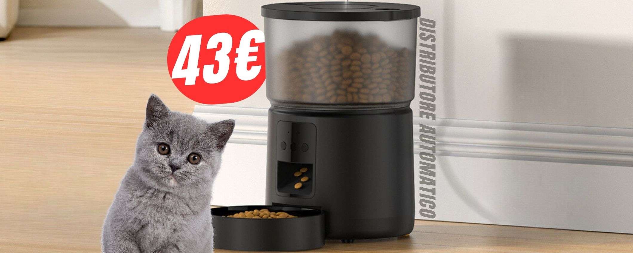 Questo distributore nutre i tuoi animali in autonomia (e costa solo 43€!) Questo distributore nutre i tuoi animali in autonomia (e costa solo 43€!)