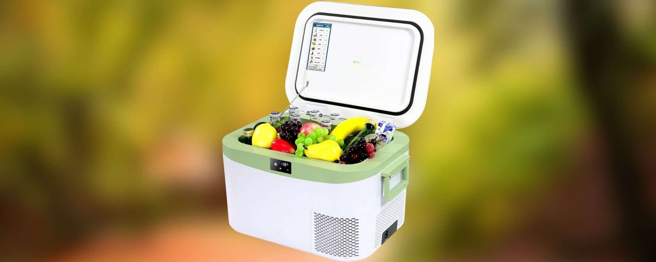 Frigorifero elettrico portatile: perfetto per il CAMPEGGIO e in DOPPIO SCONTO su Amazon Frigorifero elettrico portatile: perfetto per il CAMPEGGIO e in DOPPIO SCONTO su Amazon