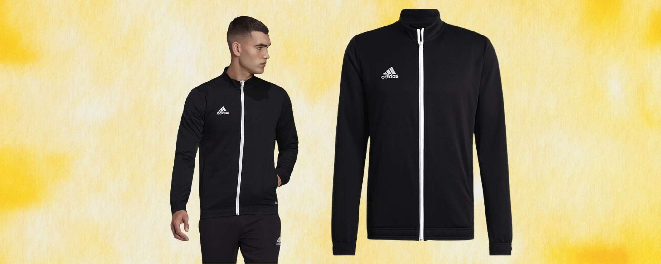 Giacca uomo Adidas Entrada a 19,96€: FANTASTICO SCONTO su Amazon (-43%) Giacca uomo Adidas Entrada a 19,96€: FANTASTICO SCONTO su Amazon (-43%)