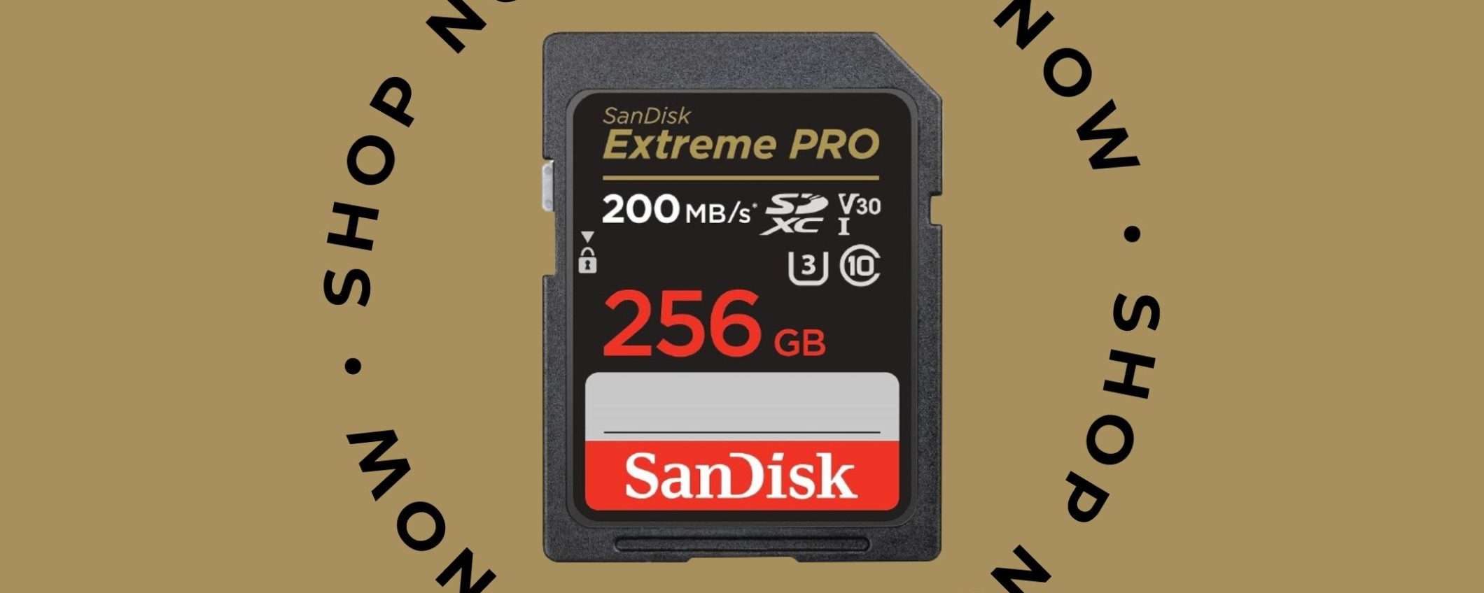 SD SanDisk Extreme PRO da 256GB: lo sconto del 53% di Amazon vi OBBLIGA all'acquisto SD SanDisk Extreme PRO da 256GB: lo sconto del 53% di Amazon vi OBBLIGA all'acquisto
