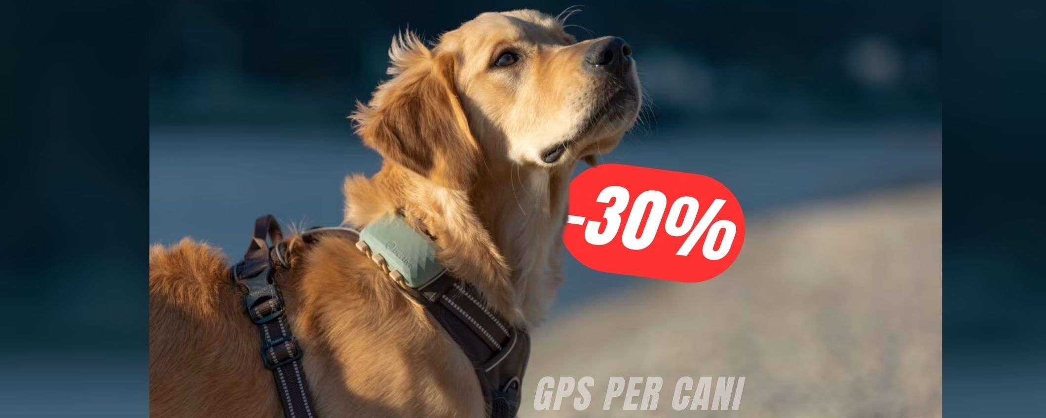 GPS per cani al -30% su Amazon: trova il tuo amico peloso ovunque! GPS per cani al -30% su Amazon: trova il tuo amico peloso ovunque!