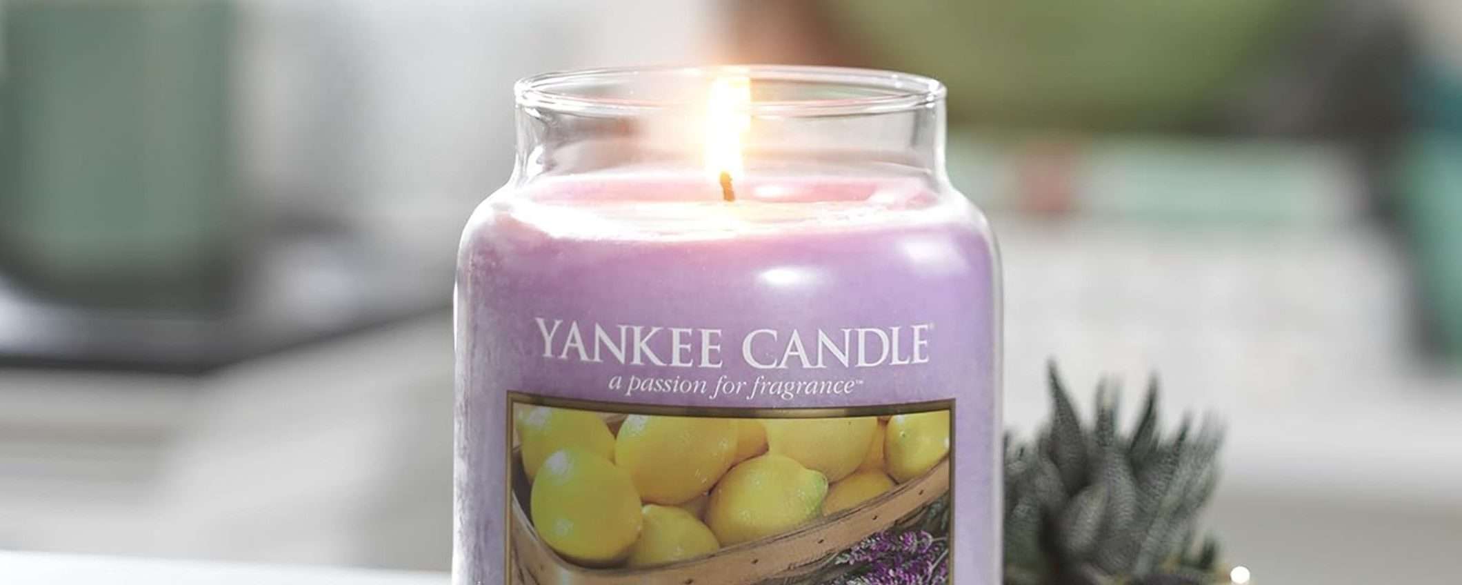 Candela profumata Yankee Candle Lavanda al Limone ad un SUPER PREZZO su Amazon Candela profumata Yankee Candle Lavanda al Limone ad un SUPER PREZZO su Amazon
