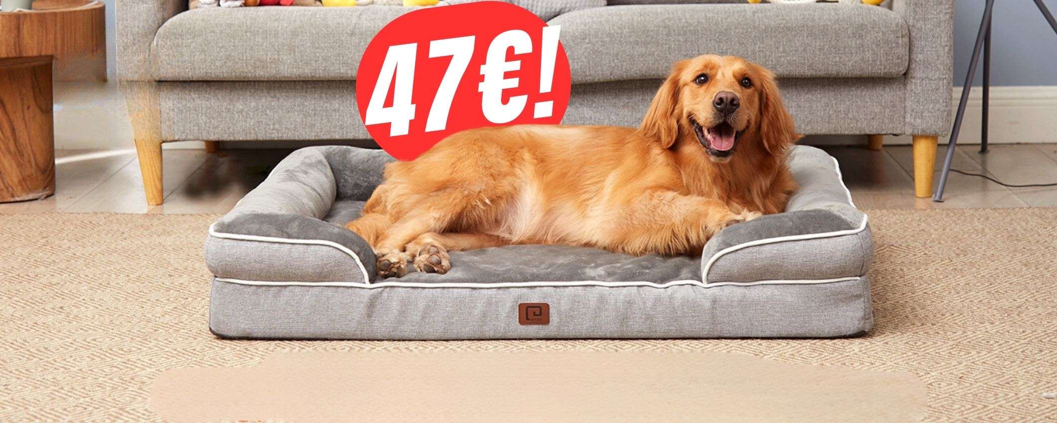 Impermeabile e XXL: la CUCCIA perfetta per il tuo cane precipita a 47€! Impermeabile e XXL: la CUCCIA perfetta per il tuo cane precipita a 47€!