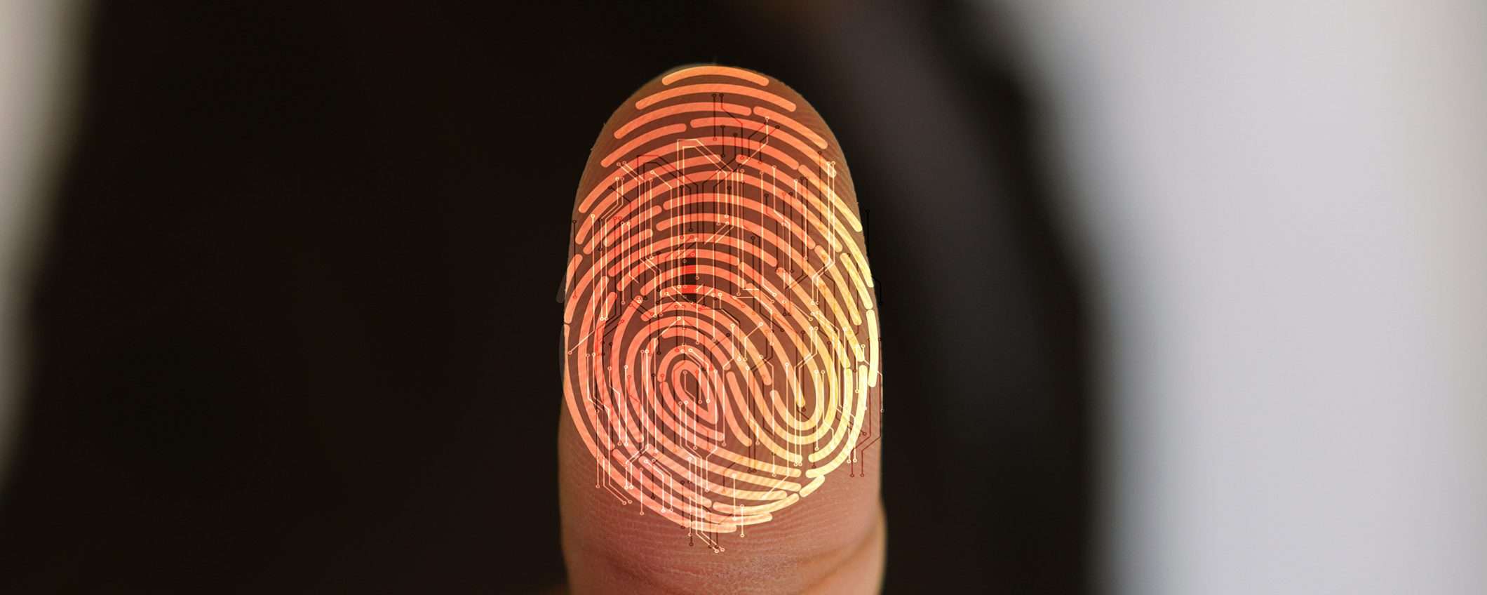 Sempre più smartphone Android potrebbero integrare lo scanner a ultrasuoni Sempre più smartphone Android potrebbero integrare lo scanner a ultrasuoni