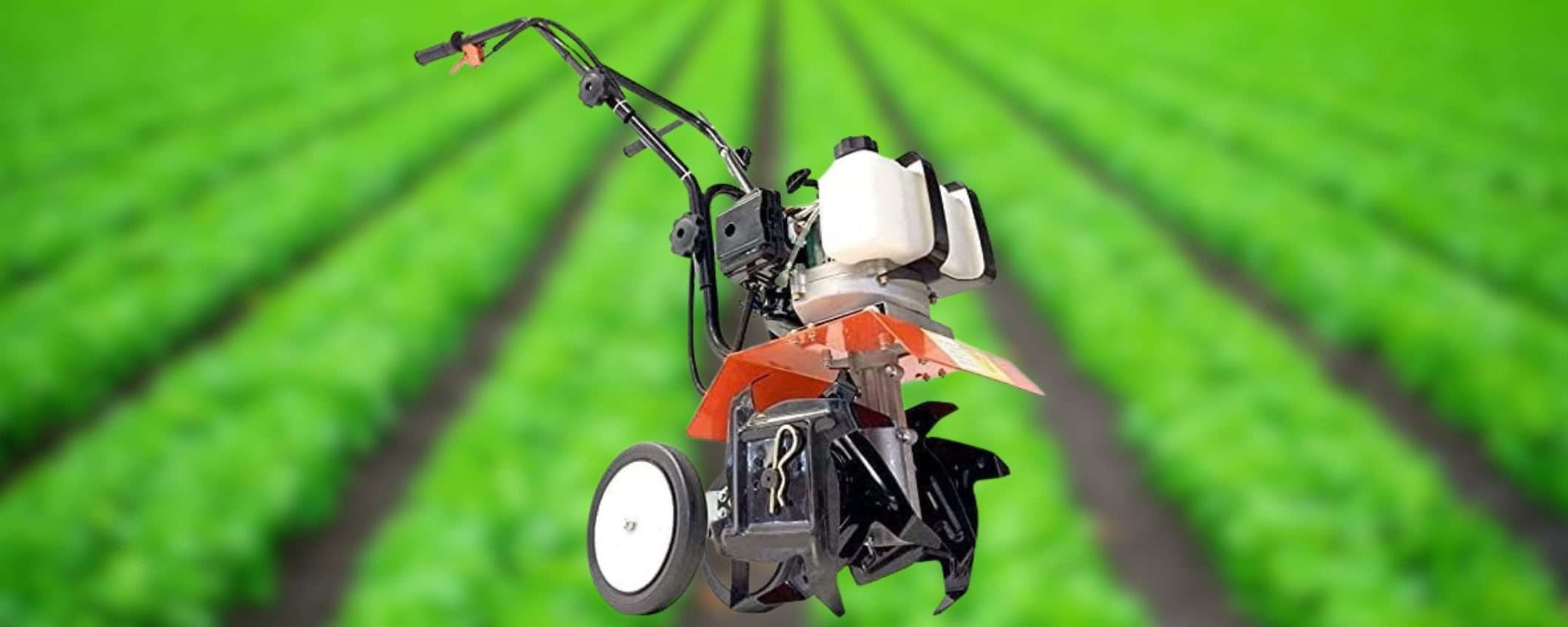 Questa motozappa a scoppio è uno SPETTACOLO: terreni perfetti, prezzo WOW Questa motozappa a scoppio è uno SPETTACOLO: terreni perfetti, prezzo WOW
