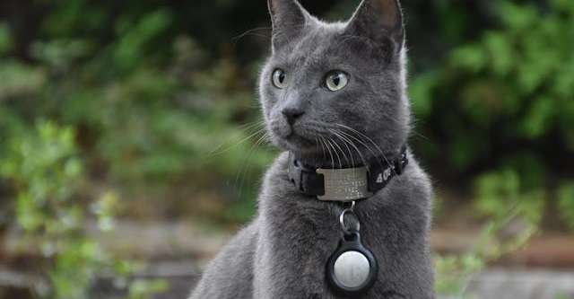 Come usare e NON usare un tracker Bluetooth