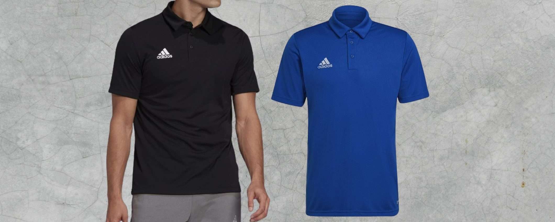 Polo Adidas da 16€ su Amazon: affare estivo STREPITOSO, qualità TOP Polo Adidas da 16€ su Amazon: affare estivo STREPITOSO, qualità TOP