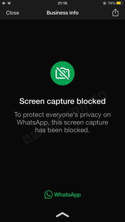 whatsapp_screenshot