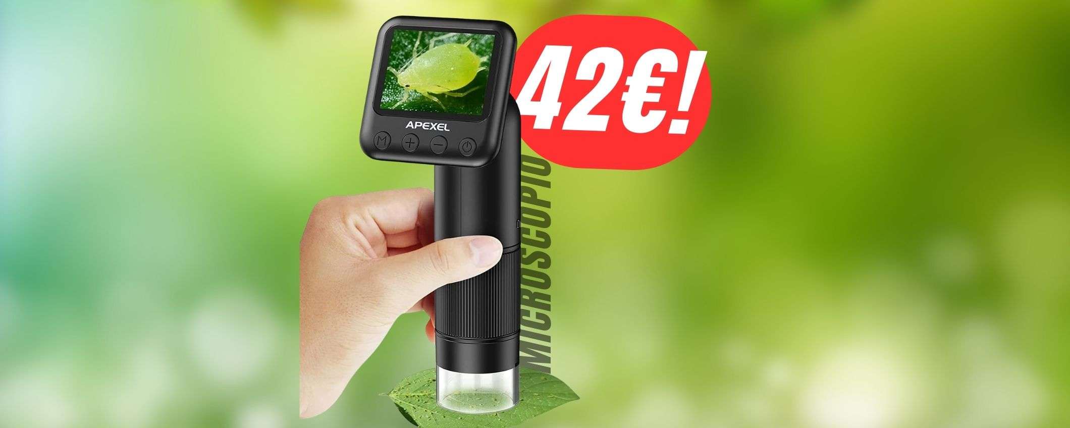Questo MICROSCOPIO con DISPLAY a 42€ ti farà scoprire un mondo in miniatura! Questo MICROSCOPIO con DISPLAY a 42€ ti farà scoprire un mondo in miniatura!