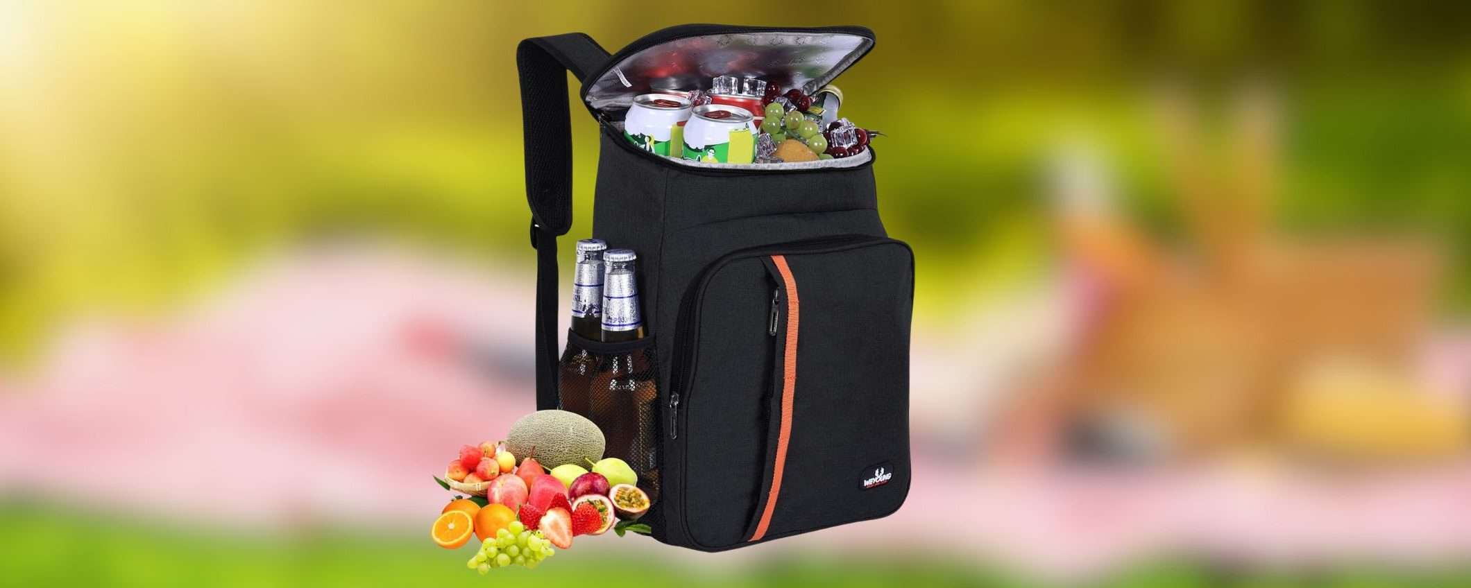 Zaino termico da 23 litri, perfetto per campeggio, spiaggia o pic nic, in offerta Amazon Zaino termico da 23 litri, perfetto per campeggio, spiaggia o pic nic, in offerta Amazon