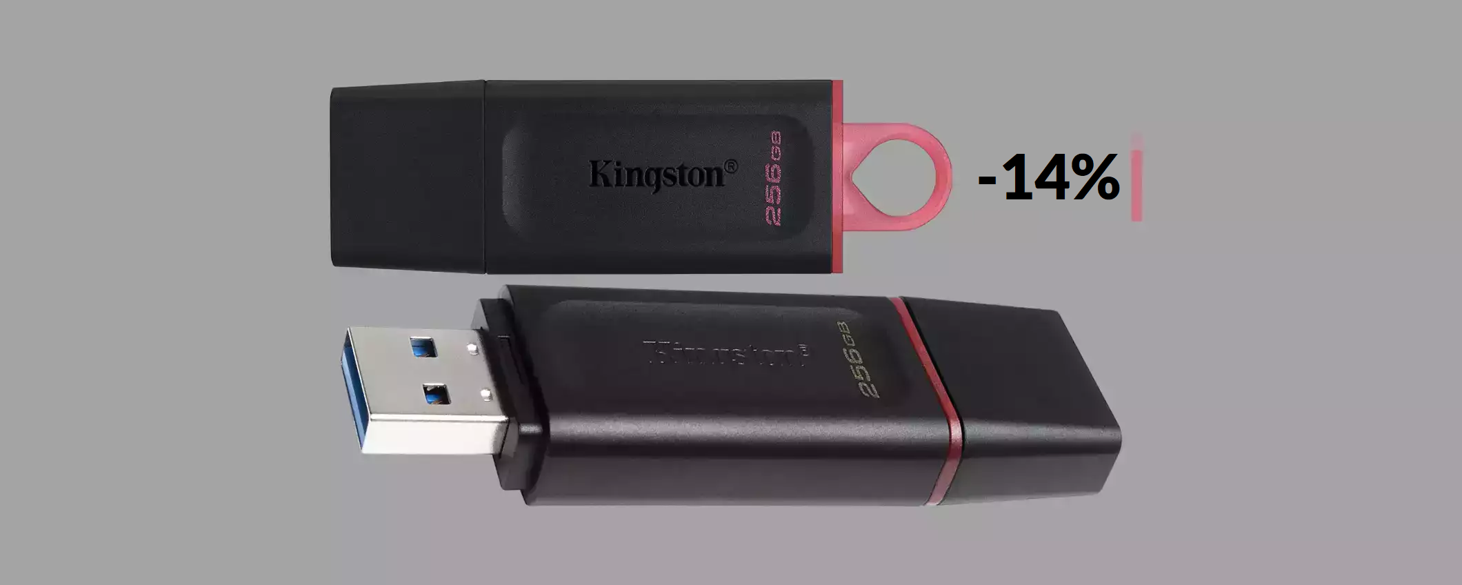 Chiavetta USB 256GB: impossibile avere di meglio con soli 18€ Chiavetta USB 256GB: impossibile avere di meglio con soli 18€