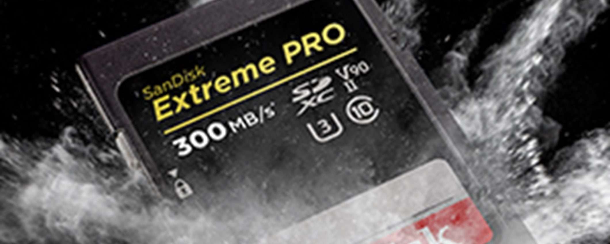 Scheda SD SanDisk Extreme PRO da 128GB: su Amazon fate l'AFFARONE del giorno! Scheda SD SanDisk Extreme PRO da 128GB: su Amazon fate l'AFFARONE del giorno!