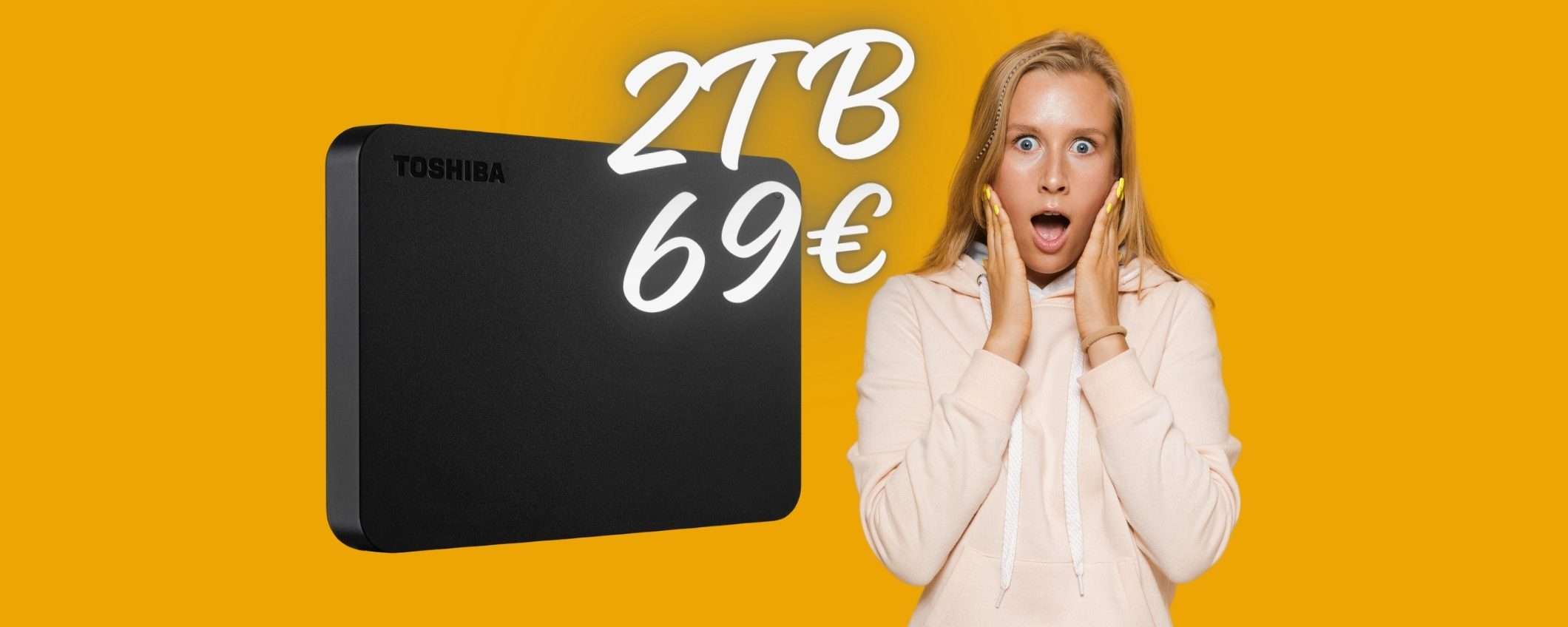 Hard Disk Toshiba da 2TB a 69€: ERRORE PREZZO o PAZZIA eBay? Hard Disk Toshiba da 2TB a 69€: ERRORE PREZZO o PAZZIA eBay?