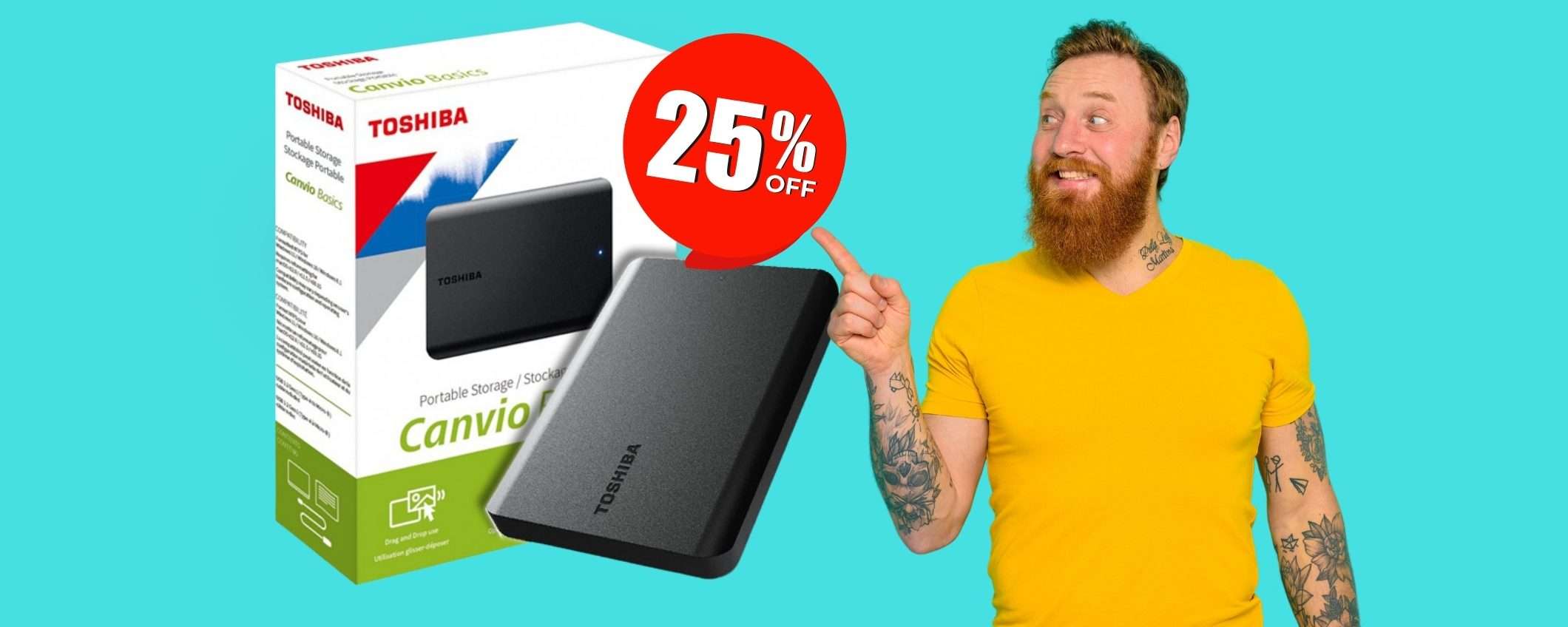 Hard Disk Toshiba Canvio Basics da 4TB a PREZZO SCONVOLGENTE su eBay Hard Disk Toshiba Canvio Basics da 4TB a PREZZO SCONVOLGENTE su eBay