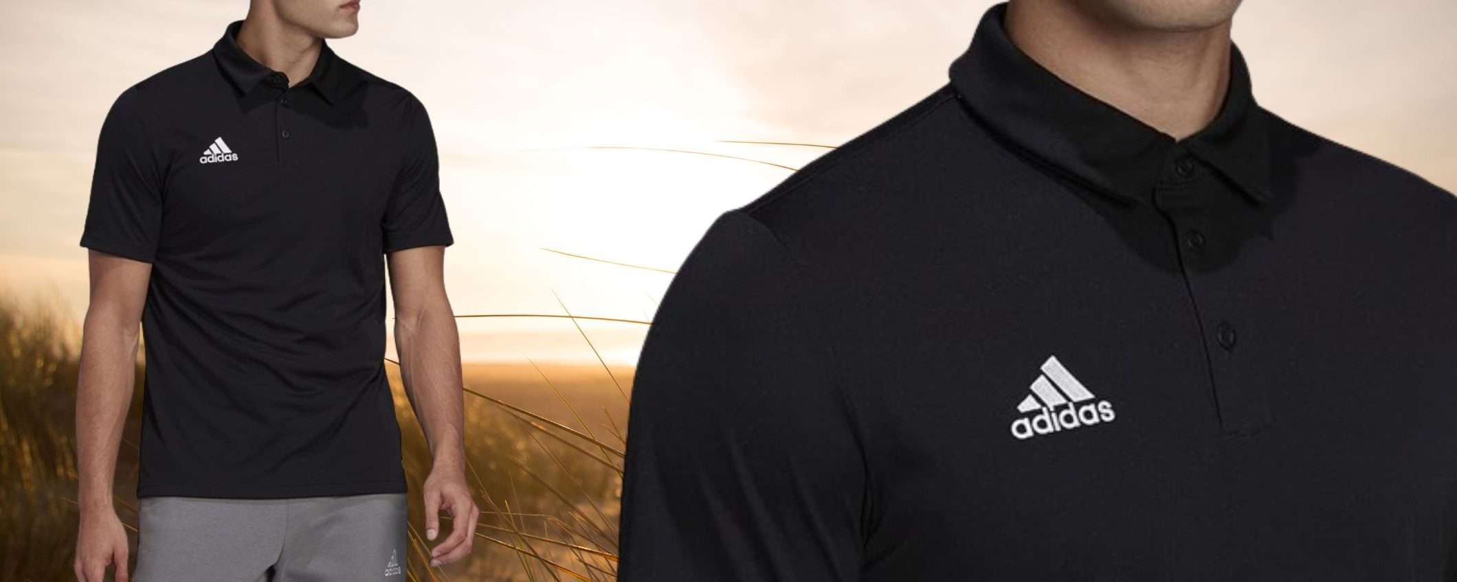 Polo Adidas a 16€ su Amazon: vesti di ottima MARCA spendendo POCHISSIMO Polo Adidas a 16€ su Amazon: vesti di ottima MARCA spendendo POCHISSIMO